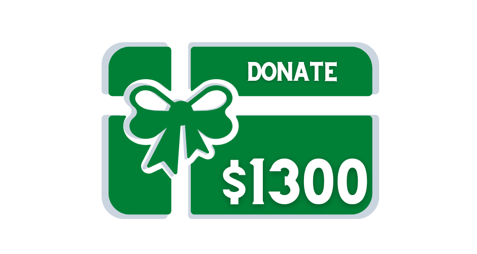 DONATE TO HEALTHCARE FOR FAMILIES $1300