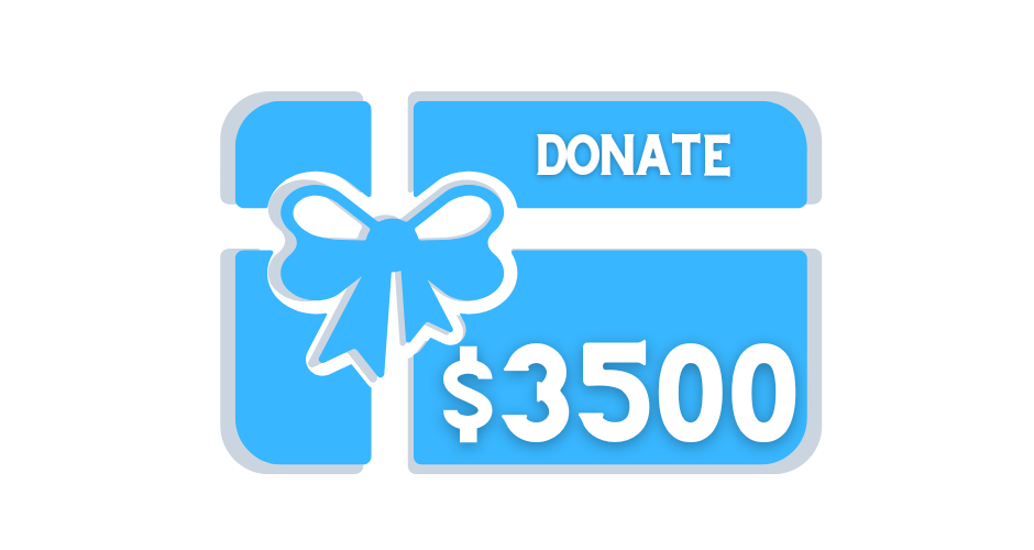 DONATE TO STOP CHILD ABUSE $3500