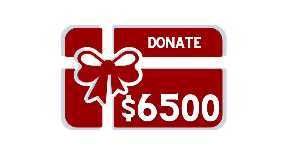 DONATE TO STOP SEX TRAFFICKING $6500