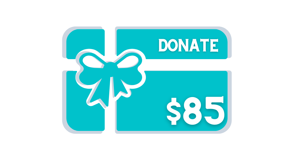 DONATE TO EDUCATION PROGRAMS $85