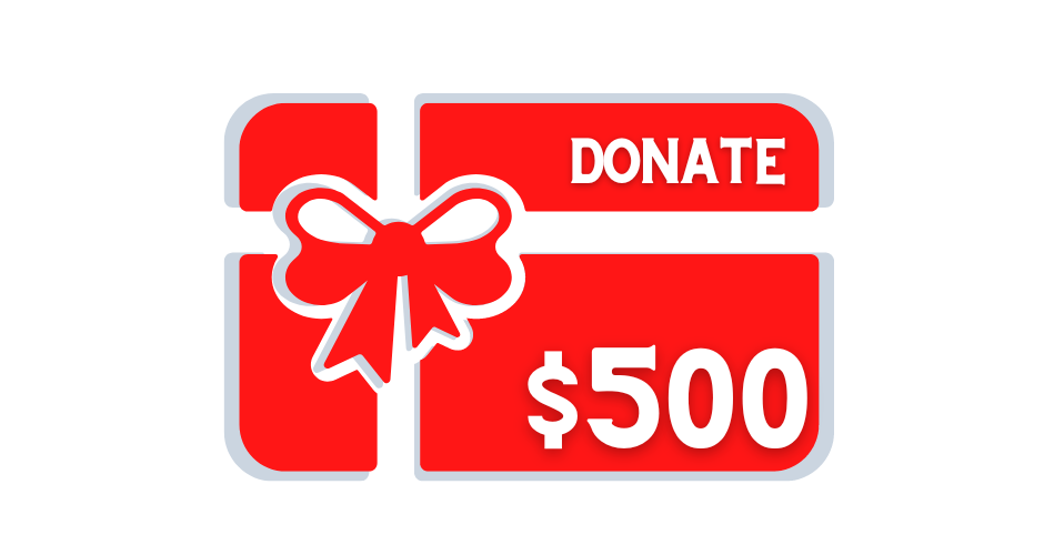 DONATE TO ADDICTION PROGRAMS  $500